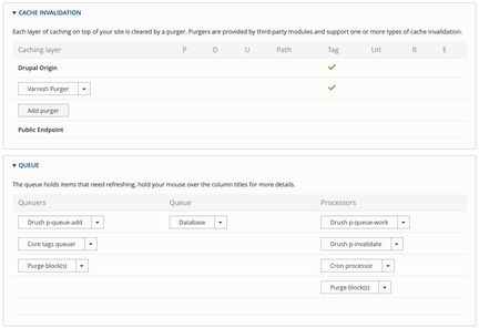 Purge settings